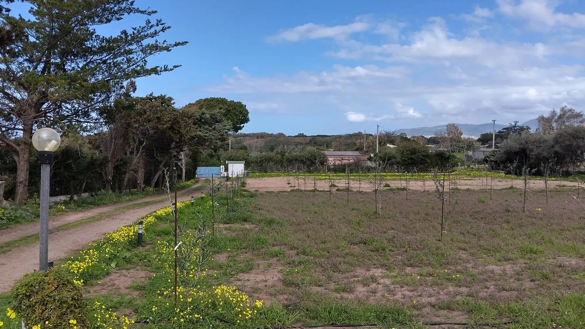 Mare Apartment Valledoria